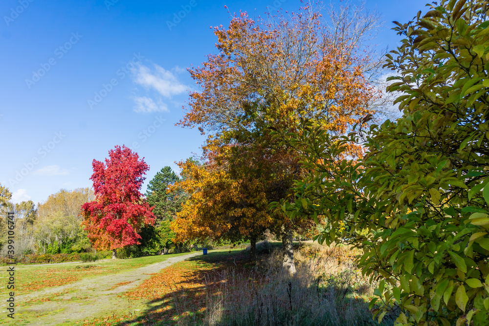 Fototapeta premium Seatac Sports Field 5