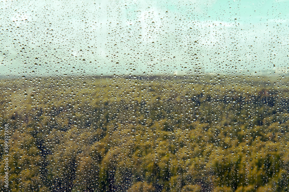 Autumn forest through glass with water drops after rain, background