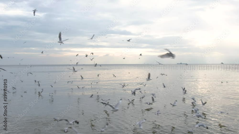 Static shot of large flock of seagull birds flying above calm ocean overcast day Static shot of large flock of seagull birds flying above calm ocean overcast day