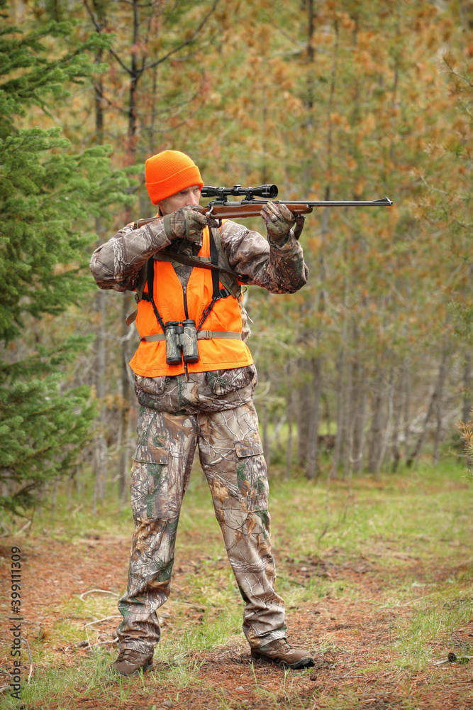adult hunter aiming deer rifle in forest adult hunter aiming deer rifle in forest
