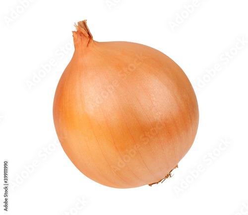 Wallpaper Mural One onion isolated on white background Torontodigital.ca