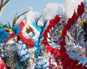 Keuken achterwand Carnaval Kleurrijke verentooien tijdens straatcarnaval  © Su Nitram