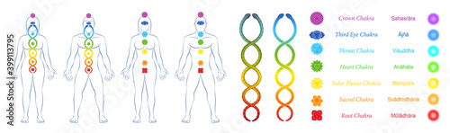 Meditation symbol set with chakras, kundalini, yoga man and woman, sanskrit names and buttons for webpages. Collection of icons and design tools for websites. Vector on white.
