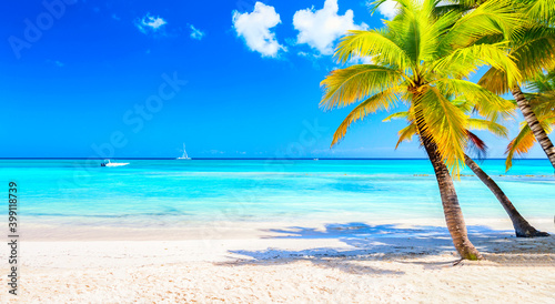 Fototapeta Naklejka Na Ścianę i Meble -  Palm trees on the caribbean tropical beach. Saona Island, Dominican Republic. Vacation travel background. Banner wide format