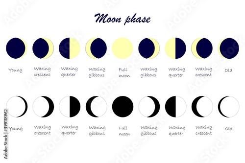 Moon cycle scheme. Everything moon phases yang waxing crescent waxing quarter waxing gibbous full moon old stock vector illustration for web, for print, for nature education