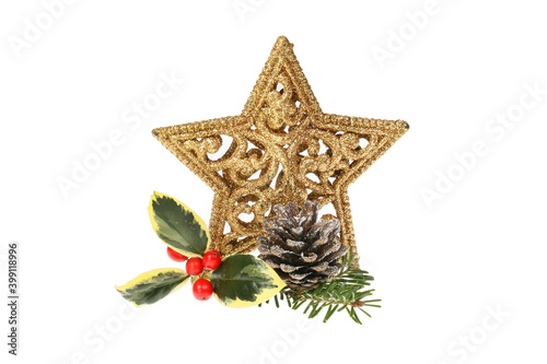 Star and winter foliage