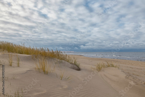 Fototapeta Naklejka Na Ścianę i Meble -  Bents in the wind at a beach coast line at Baltic sea