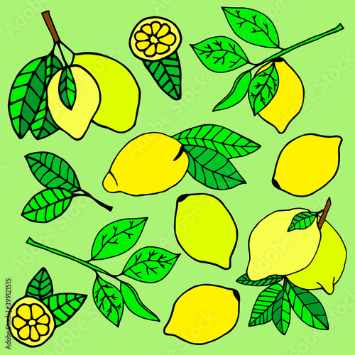 Fototapeta Naklejka Na Ścianę i Meble -  Vector drawing with lemons on a green background is made in the style of the doodle drawing.
