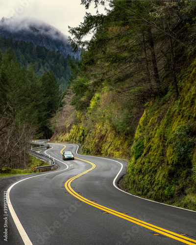highway curving through mountain with trees, fog, car, moss