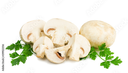 Mushrooms isolated on a white background.