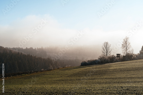 Morning view of a grass field. Fog moves over the forest in the background. The sunlight illuminates this scenery.
