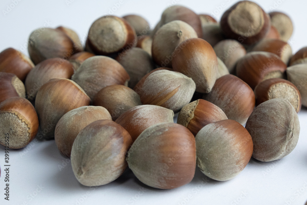 Hazelnut nut isolated on white background Hazelnut nut isolated on white background