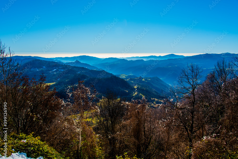 Obraz premium trees and endless landscape