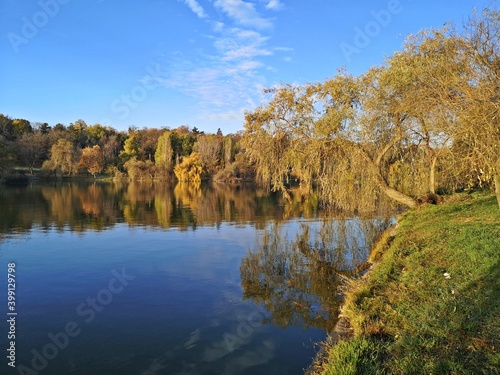Autumn trees in the park. Sunny day in the park