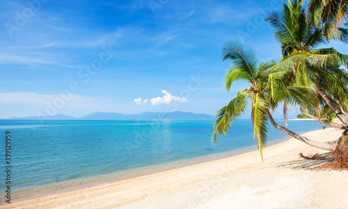 tropical beach with cocnut palm tree
