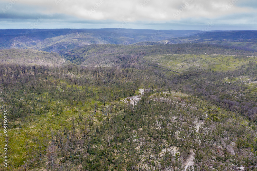 Aerial photograph of forest regeneration after bushfires in regional Australia Aerial photograph of forest regeneration after bushfires in regional Australia