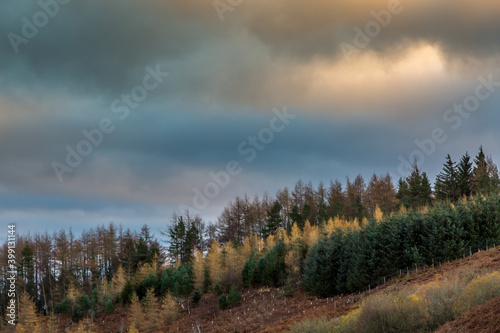 The beautiful unspoiled Northumberland countryside in the middle of the Northumberland International Dark Sky Park in the Breamish Valley