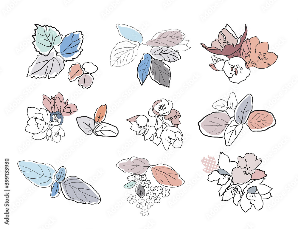 Set of floral elements. Flowers and leaves. Vector. Set of floral elements. Flowers and leaves. Vector.