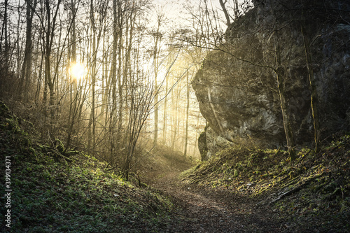 Scenic view of forest path leading through forest and a big mossy rock. The sun beams that shine through the forest illuminates this fantastic scenery.