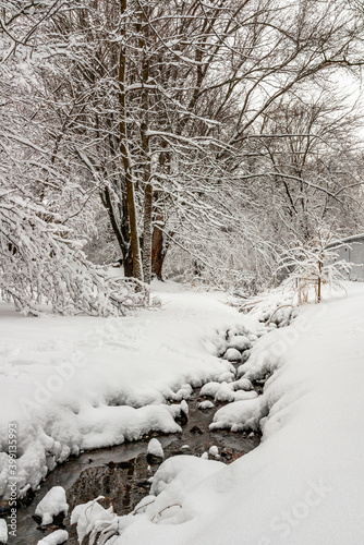 Creek in the snow