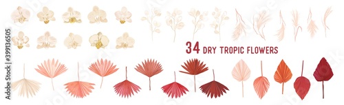 Dried pampas grass, lunaria flowers, orchid, tropical palm leaves vector bouquets. Pastel watercolor floral template