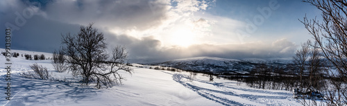 Beautiful panorama on mountain slope in Lapland. Cold day with Sun and clouds, view at snowy wild landscape with rare birches. Excellent visibility at remote mountain tops. Joesjo, Lappland, Sweden