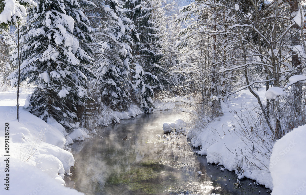 Winter mountain landscape with river or stream. Trees covered with snow and hoarfrost, ducks on water, reflection of the sun in the water. Sunny winter day. Winter mountain landscape with river or stream. Trees covered with snow and hoarfrost, ducks on water, reflection of the sun in the water. Sunny winter day.
