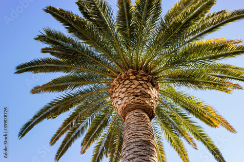 Sunny view of the Town Square shopping mall