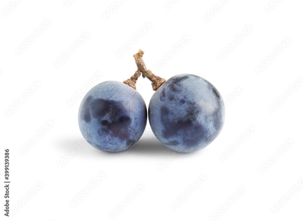 Delicious ripe dark blue grapes on white background Delicious ripe dark blue grapes on white background