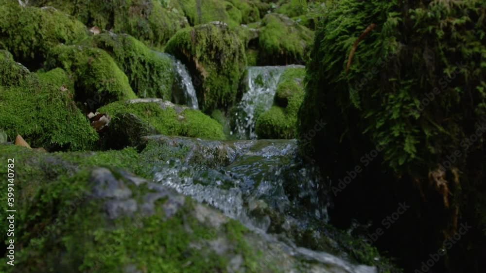 SLOW MOTION, CLOSE UP, DOF: Idyllic close up view of a stream coursing down the moss covered rocky riverbed in the middle of a remote forest in Slovenia. Glassy river water flows along mossy stones. SLOW MOTION, CLOSE UP, DOF: Idyllic close up view of a stream coursing down the moss covered rocky riverbed in the middle of a remote forest in Slovenia. Glassy river water flows along mossy stones.
