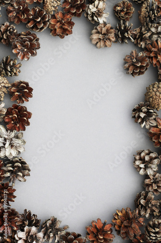 frame of natural pine cones with free space for text