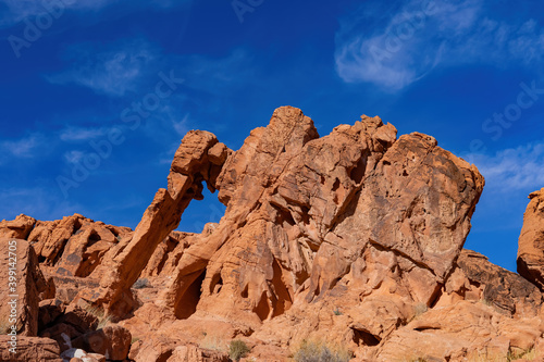 Sunny view of the Elephant Rock of Valley of Fire State Park