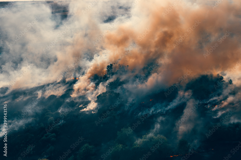 Obraz premium Fire in forest, burning trees and grass with smoke, aerial top view from drone. Natural fire or wildfire.