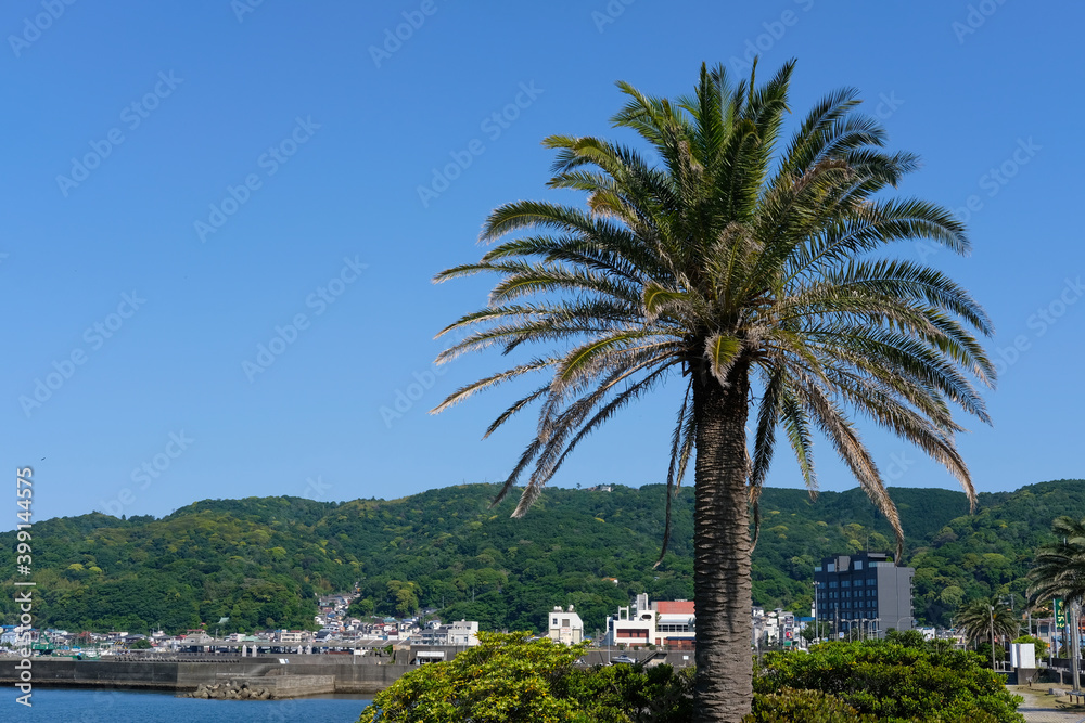 Naklejka premium 静岡県伊東市のビーチ