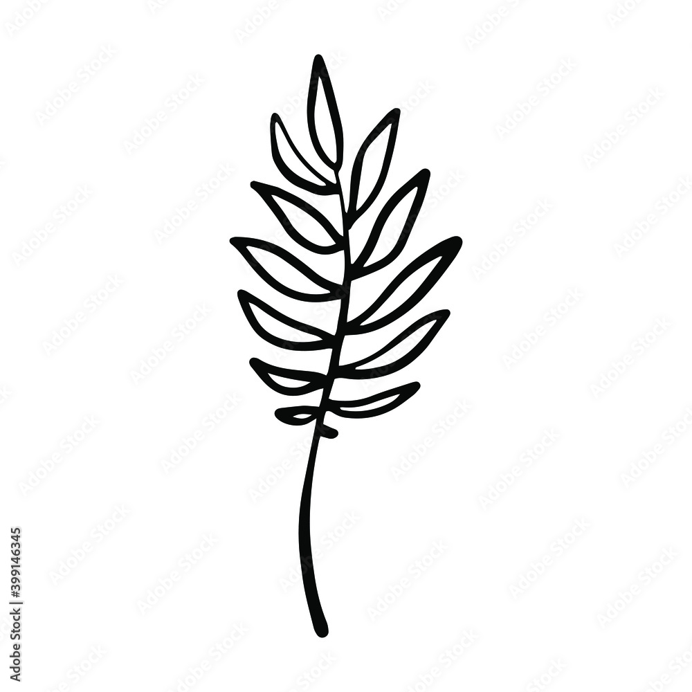 Hand drawn doodle vector branch for posters, greeting cards, web, clothes, wrapping paper. Floral outline element isolated on white background.