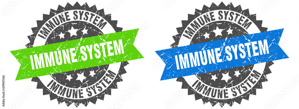 Obraz premium immune system band sign. immune system grunge stamp set