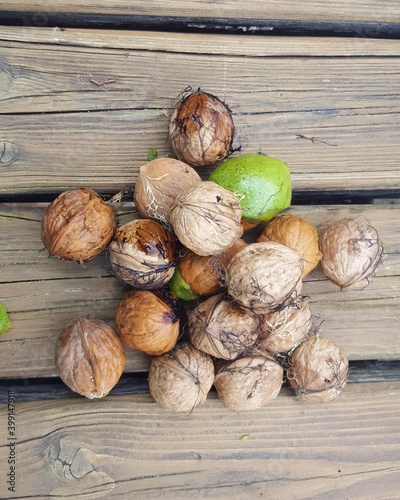 nueces