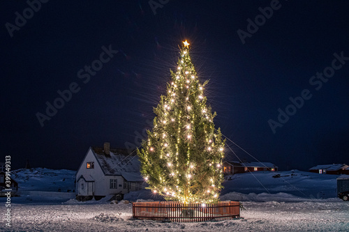 Christmas tree Nuuk Greenland.