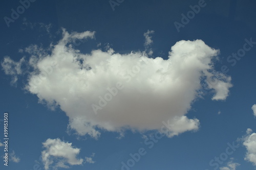 Animal-like cloud