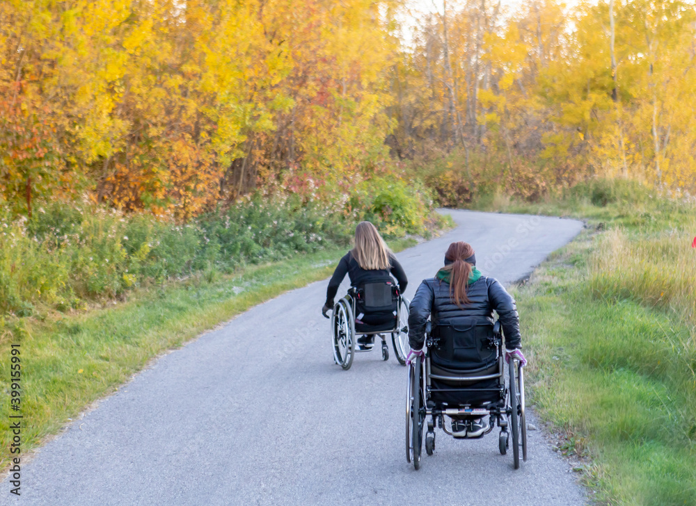 Women / Girl in Wheelchair on Path Rolling up Path Fall / Autumn for Workout Women / Girl in Wheelchair on Path Rolling up Path Fall / Autumn for Workout