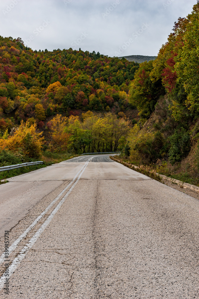 Street view of the forest  with fall colours near in
 zagori epirus greece