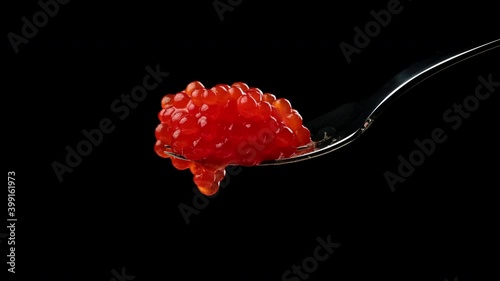 red chum salmon caviar in a metal fork on a black background, delicious and healthy food
