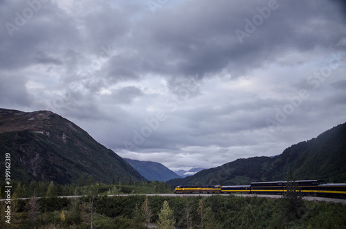 Alaska train ride