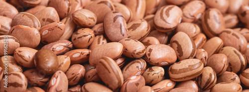 Konstfotografi Feijão carioca ( pinto beans ) em fotografia macro