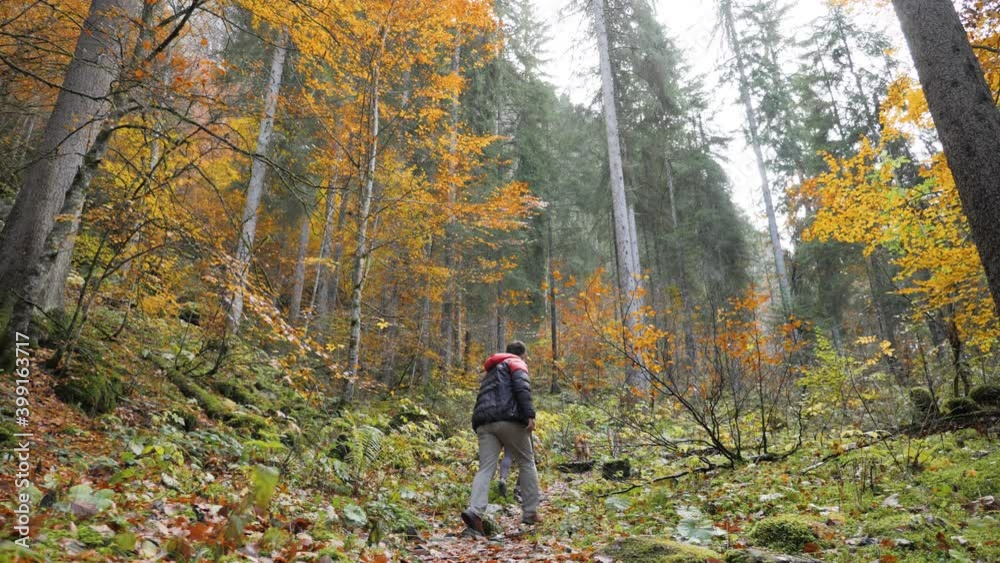A young couple, is hiking with their dog on a beautiful trail in a forest with tall straight trees all around, the man in a puffy jacket turns around and awes in contemplation of the scenery. A young couple, is hiking with their dog on a beautiful trail in a forest with tall straight trees all around, the man in a puffy jacket turns around and awes in contemplation of the scenery.