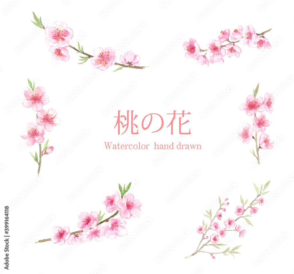 桃の花　水彩画セット