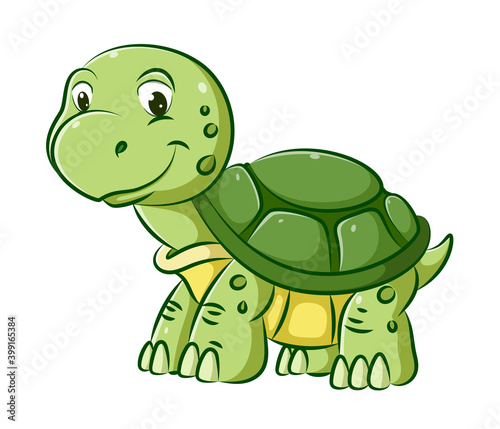 Young turtle with the green shell is walking with the big smile on his face