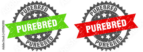 purebred band sign. purebred grunge stamp set