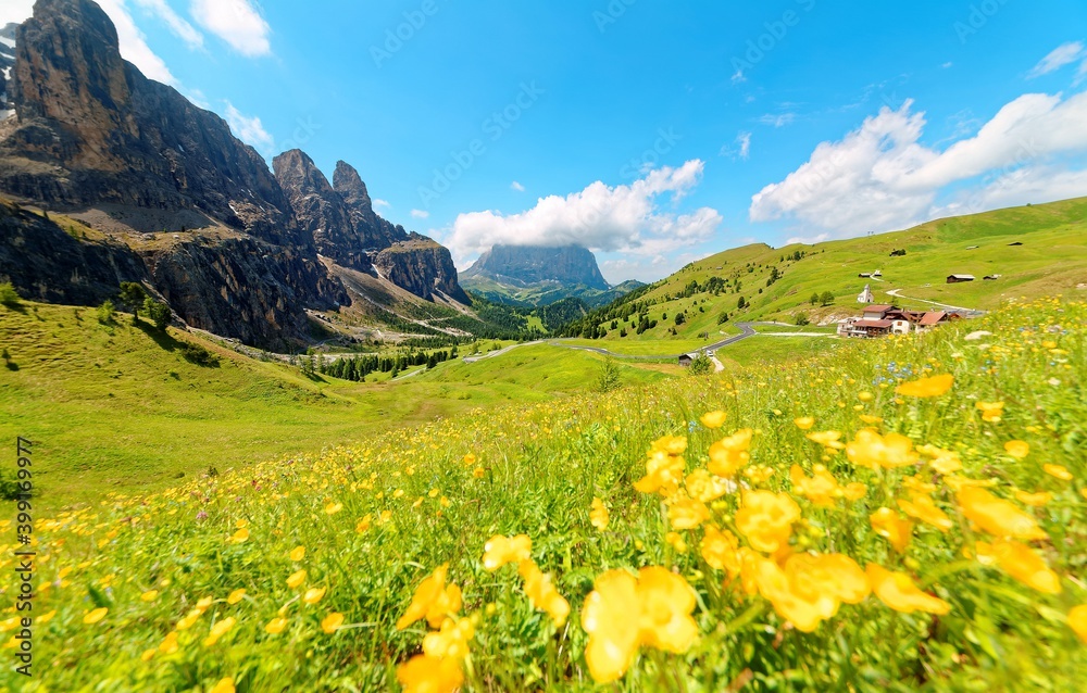 Panoramic view of majestic Dolomiti mountains with lovely wild flowers blooming in the green grassy valley on a bright sunny summer day~ Beautiful scenery of Pass Gardena, Trentino, South Tyrol, Italy