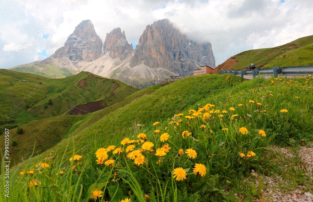 Summer scenery of majestic Pass Sella with lovely wild flowers blooming on green grassy foothills of rugged Sassolungo-Sassopiatto mountain peaks under moody cloudy sky in Dolomiti, South Tyrol, Italy